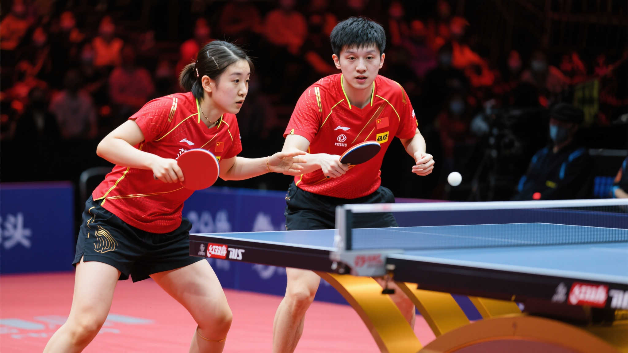 不久的将来 不久的将来